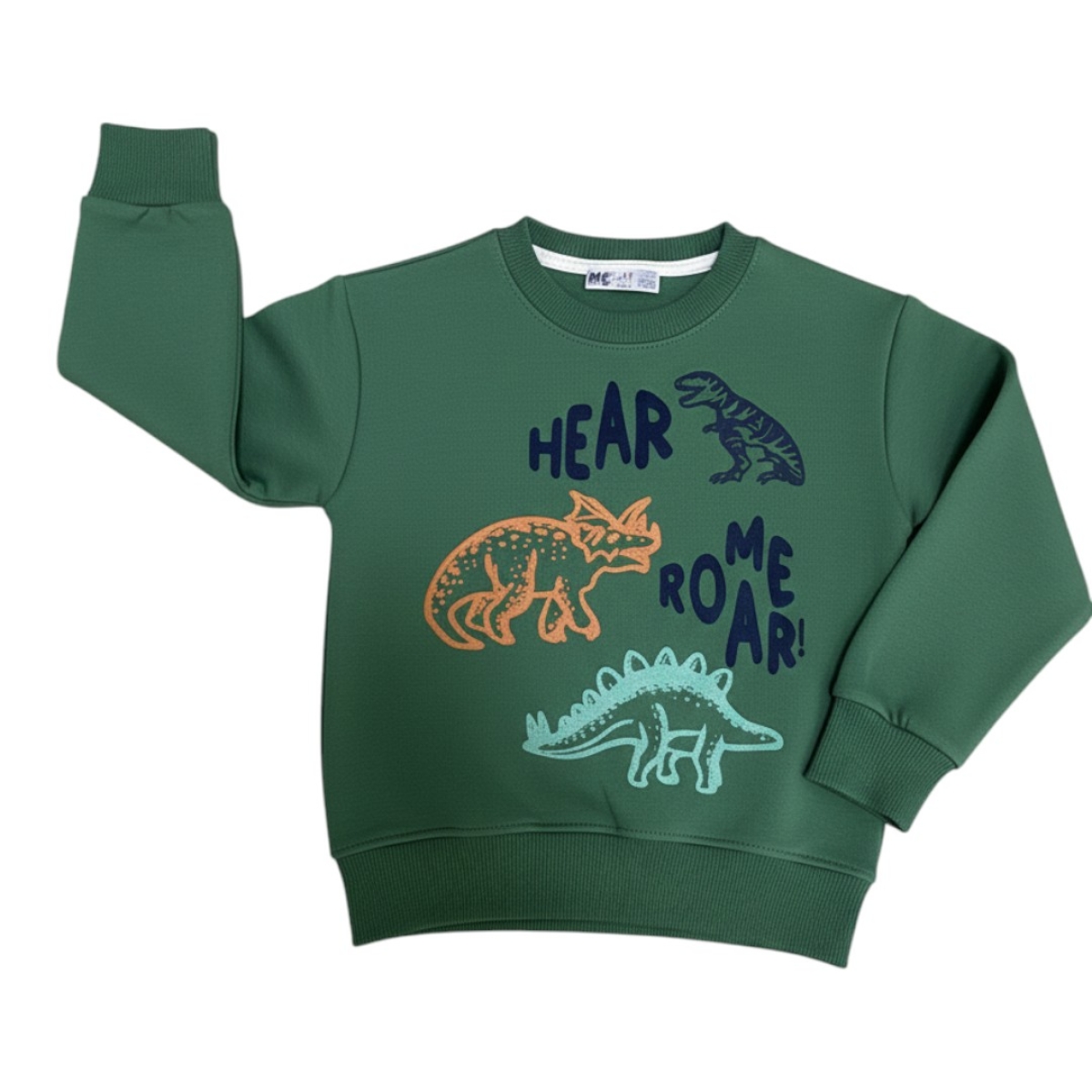 DİNAZOR BASKI ERKEK SWEAT