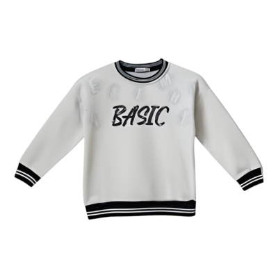 ERKEK ÜCİP BASİC TEK SWEAT