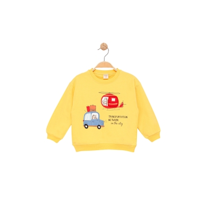 TRANSPORTATION NETWORK BASKILI SWEAT